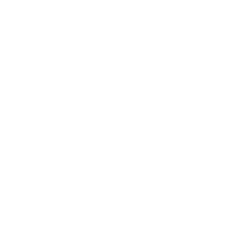 BizLink Club